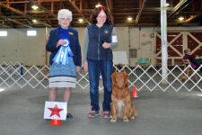 NOSA Rally NSDTR Buck - April 2016