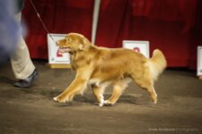 Buck Toller SeaTerrace