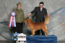 Buck Toller SeaTerrace